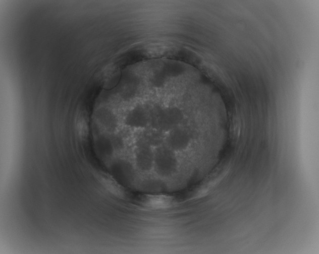 X0000112160226200908211440