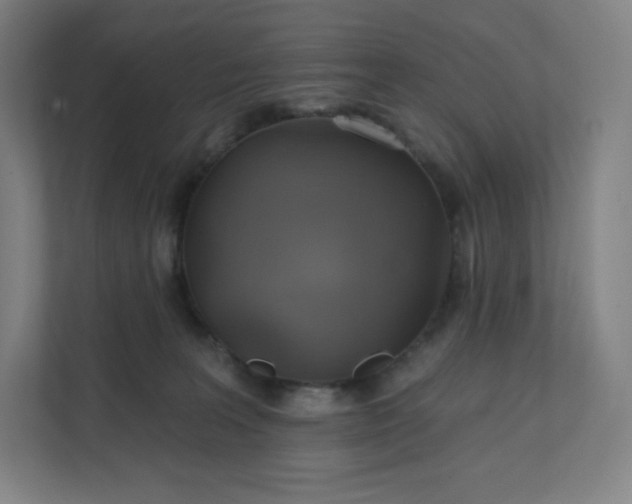 X0000112160227200908211440