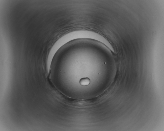 X0000112160229200908211440