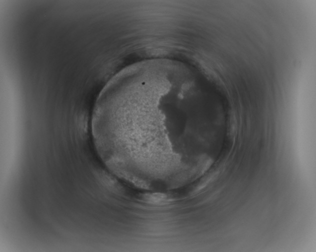 X0000112160230200908211440