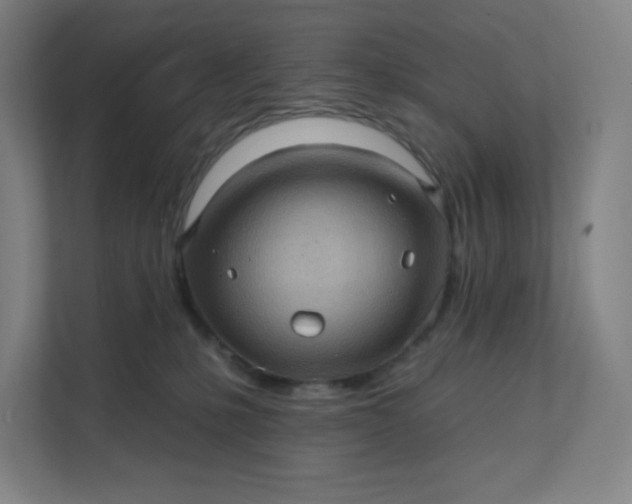 X0000112160231200908211440