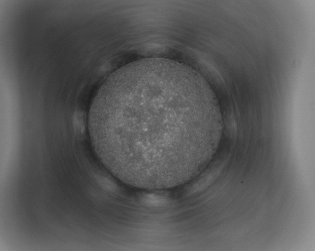 X0000112160232200908211440