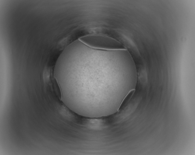 X0000112160233200908211440