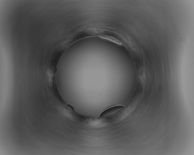 X0000112160235200908211440