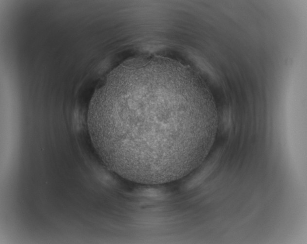 X0000112160236200908211440