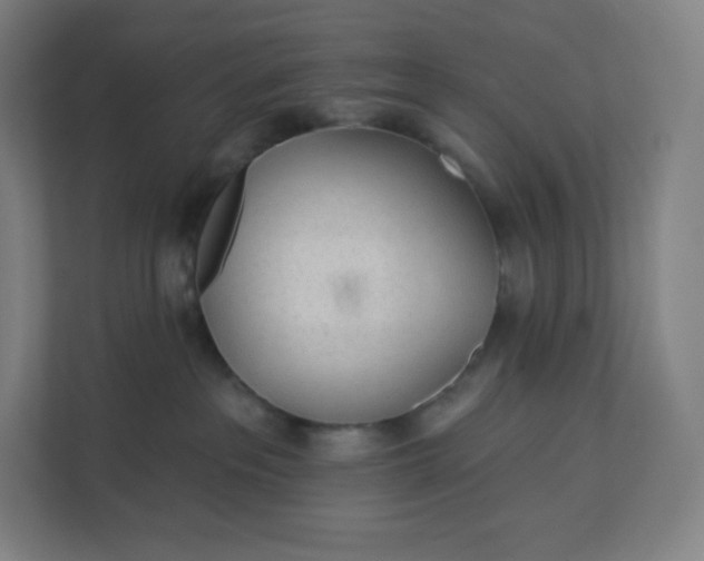 X0000112160237200908211440