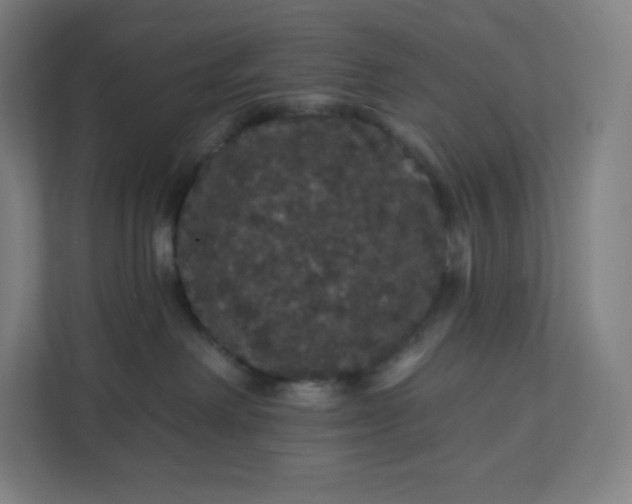 X0000112160238200908211440