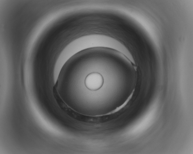 X0000112160239200908211440