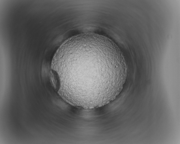 X0000112160240200908211440