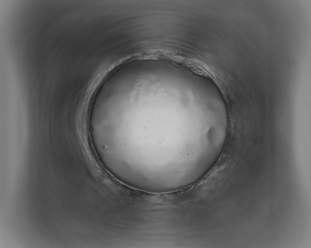 X0000112160241200908211440