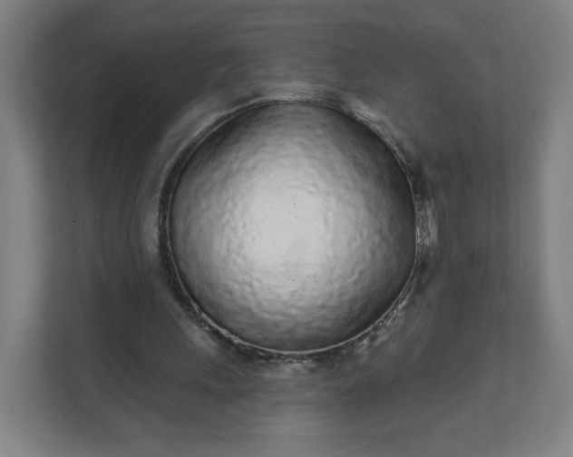 X0000112160243200908211440