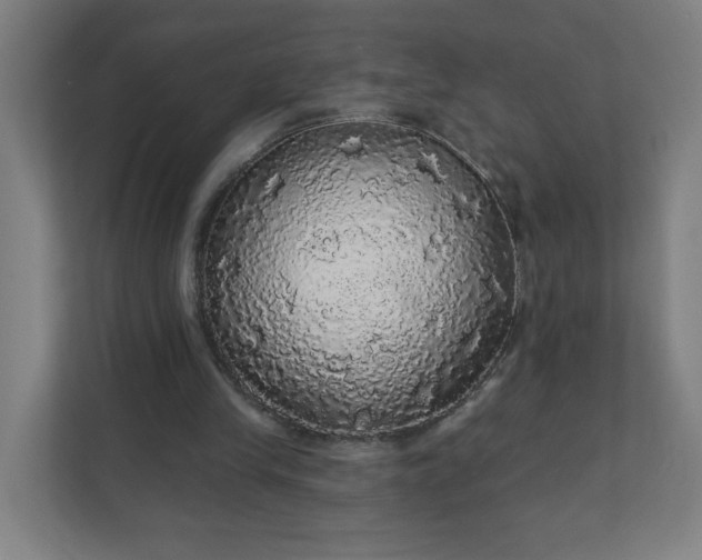 X0000112160245200908211440