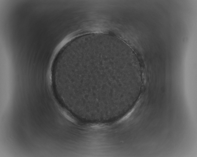 X0000112160246200908211440