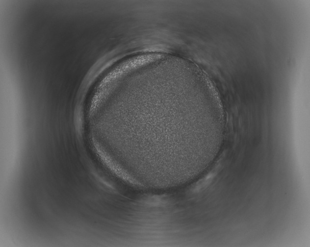 X0000112160247200908211440