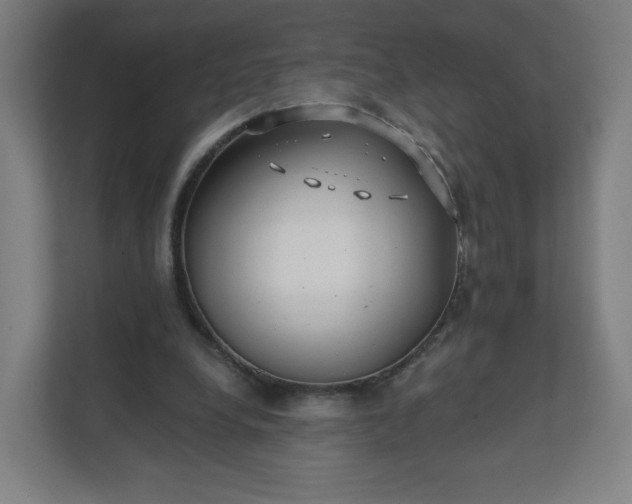 X0000112160248200908211440