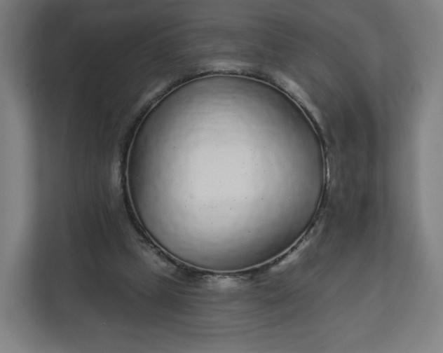 X0000112160249200908211440