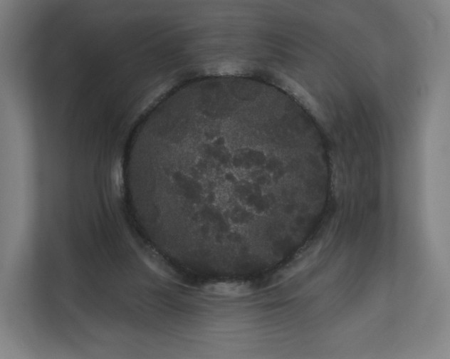 X0000112160251200908211440