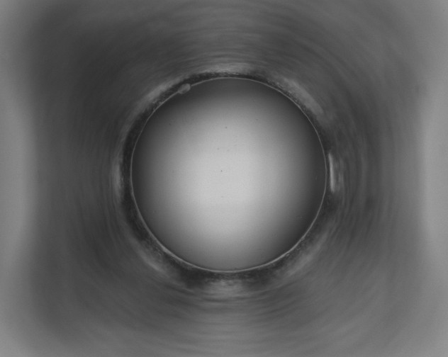 X0000112160252200908211440