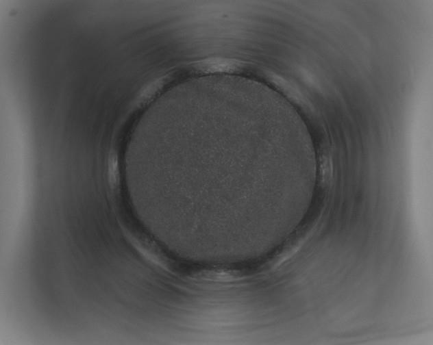 X0000112160254200908211440