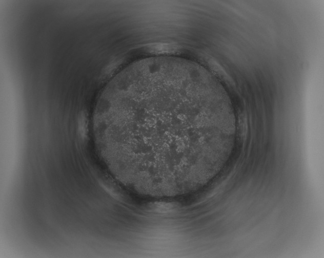 X0000112160255200908211440