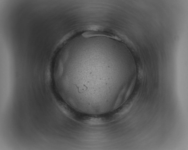 X0000112160256200908211440