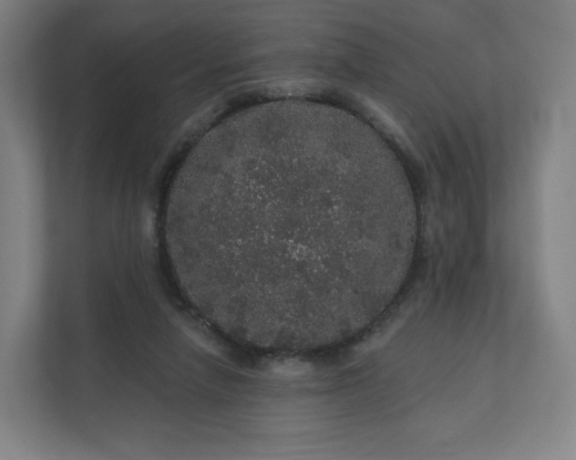 X0000112160258200908211440