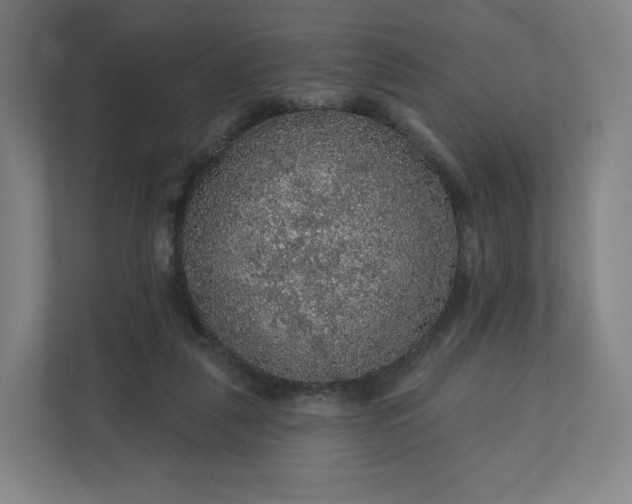 X0000112160259200908211440