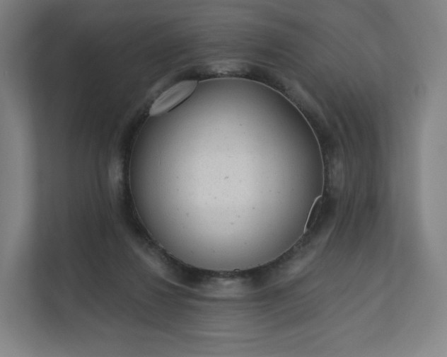 X0000112160260200908211440