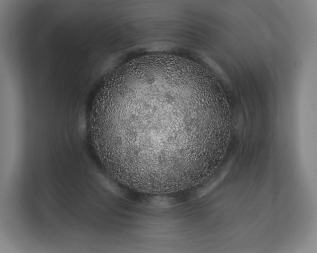 X0000112160261200908211440