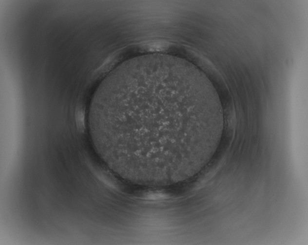 X0000112160262200908211440