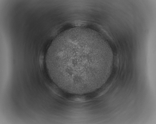 X0000112160263200908211440