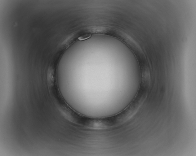 X0000112160264200908211440