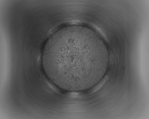 X0000112160265200908211440