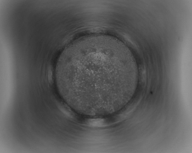 X0000112160266200908211440