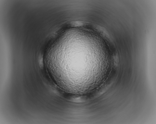 X0000112160267200908211440