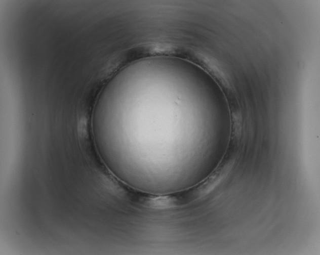 X0000112160269200908211440