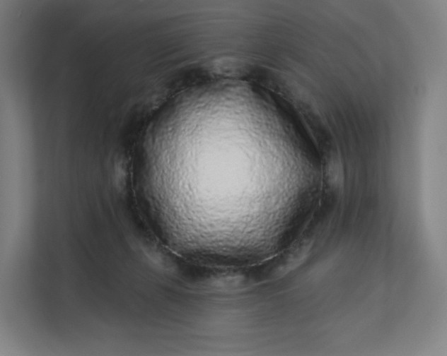 X0000112160271200908211440