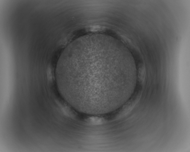 X0000112160272200908211440