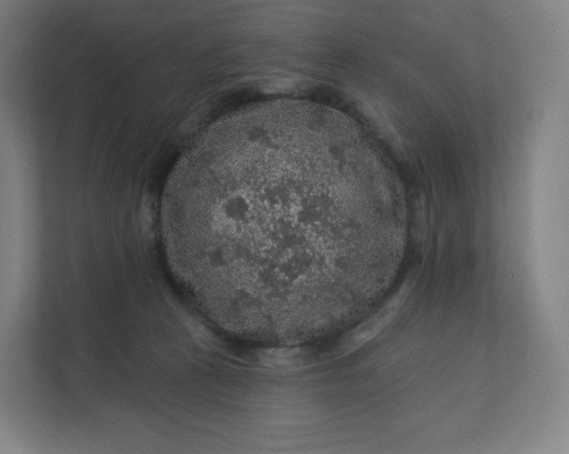 X0000112160273200908211440