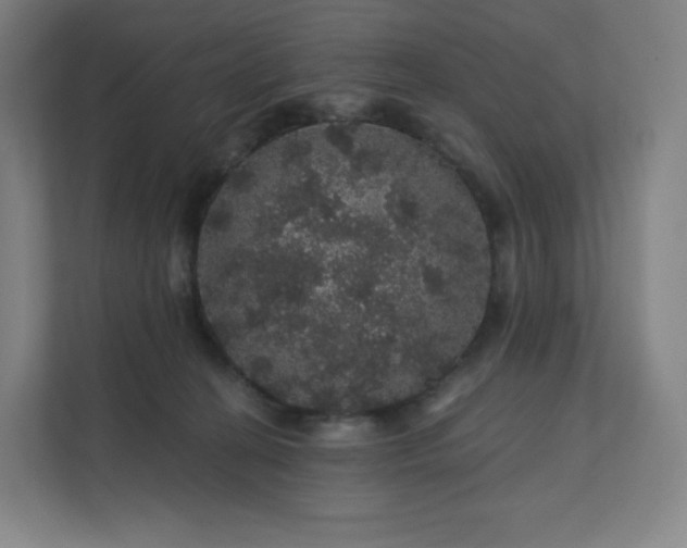 X0000112160274200908211440