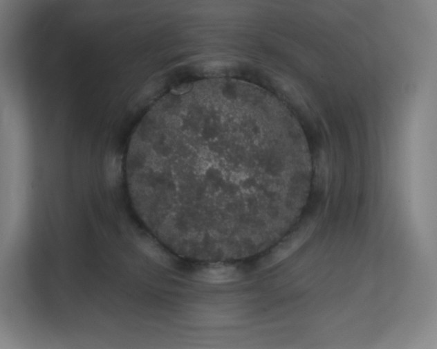 X0000112160278200908211440