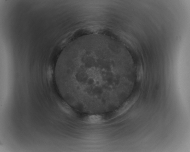 X0000112160279200908211440