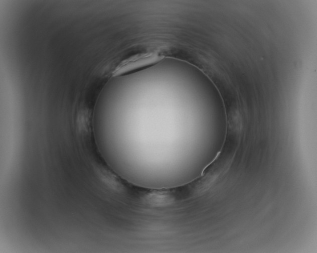 X0000112160280200908211440