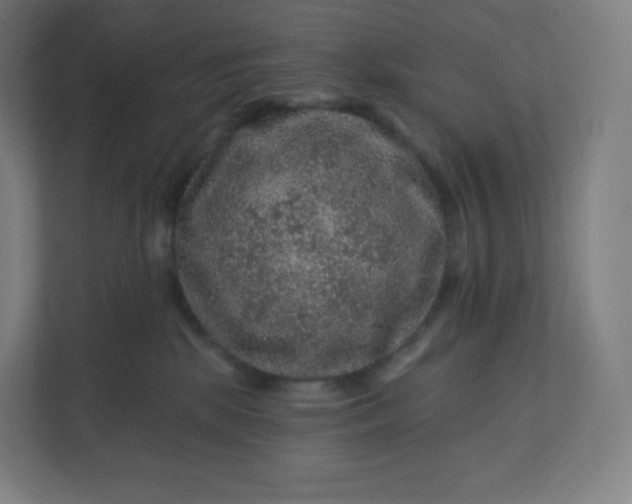 X0000112160281200908211440