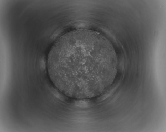 X0000112160282200908211440