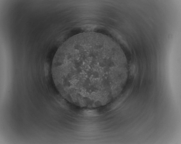 X0000112160283200908211440