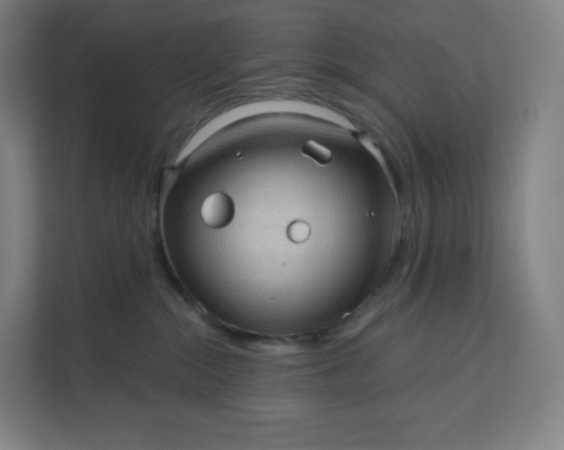 X0000112160284200908211440