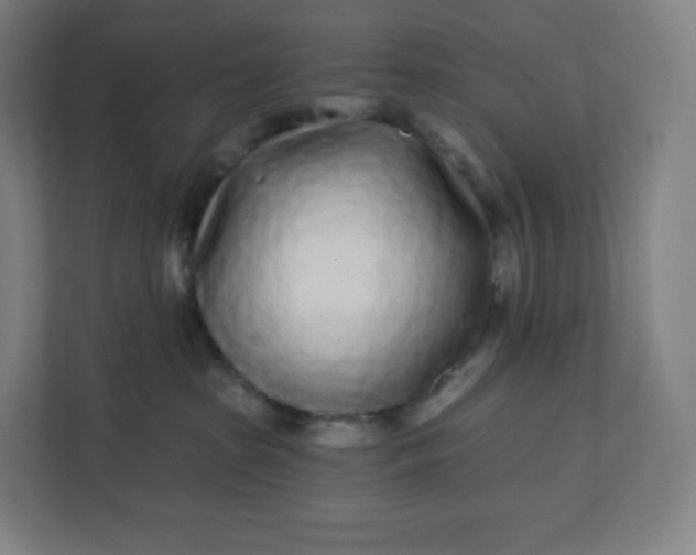 X0000112160285200908211440