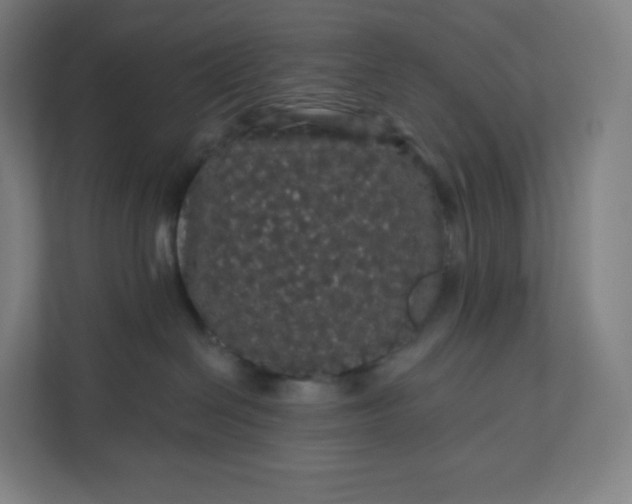 X0000112160286200908211440