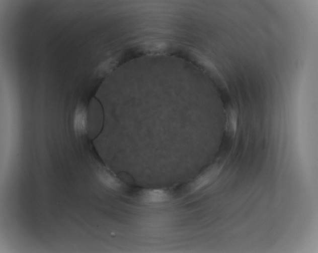 X0000112160287200908211440